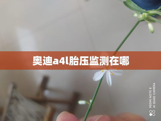 奥迪a4l胎压监测在哪