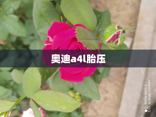 奥迪a4l胎压