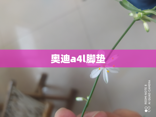 奥迪a4l脚垫