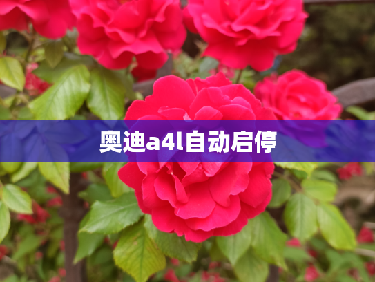 奥迪a4l自动启停