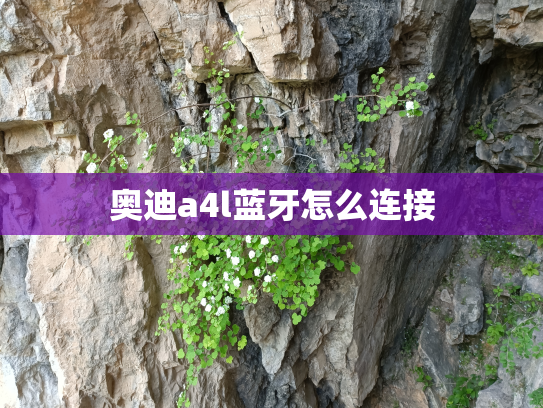 奥迪a4l蓝牙怎么连接