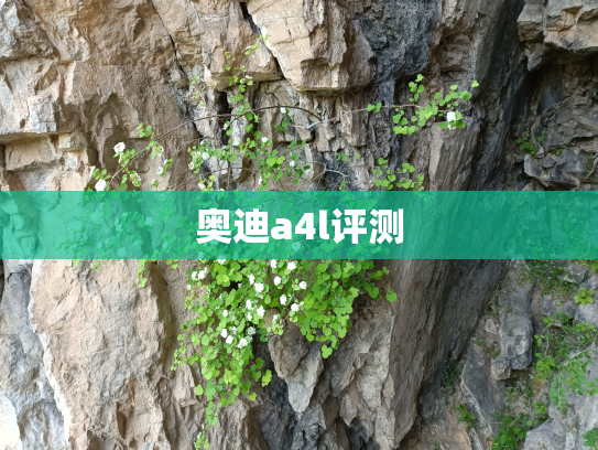 奥迪a4l评测