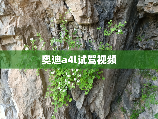 奥迪a4l试驾视频