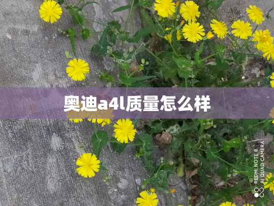 奥迪a4l质量怎么样