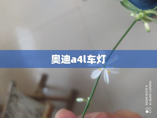 奥迪a4l车灯