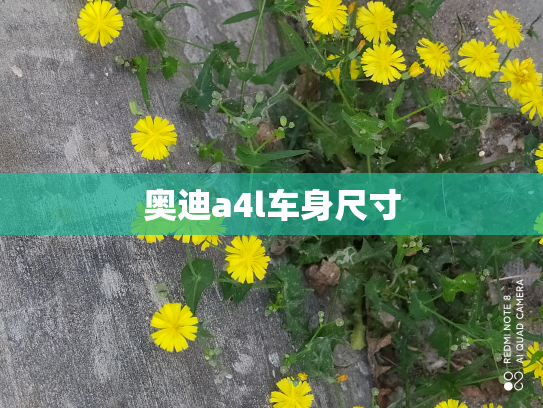 奥迪a4l车身尺寸