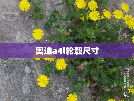 奥迪a4l轮毂尺寸