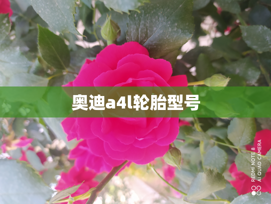 奥迪a4l轮胎型号