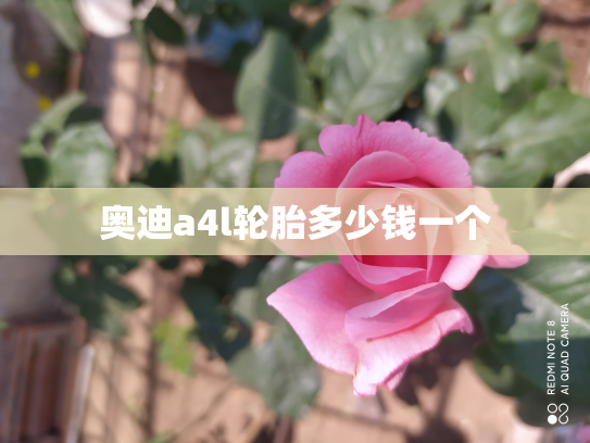 奥迪a4l轮胎多少钱一个