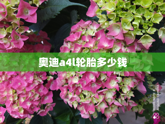 奥迪a4l轮胎多少钱