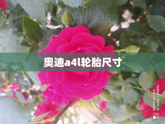 奥迪a4l轮胎尺寸