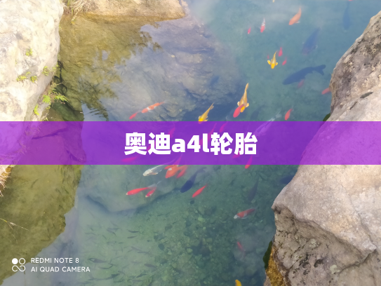 奥迪a4l轮胎