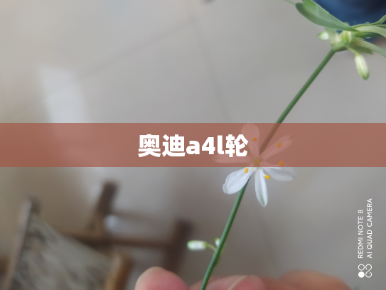 奥迪a4l轮