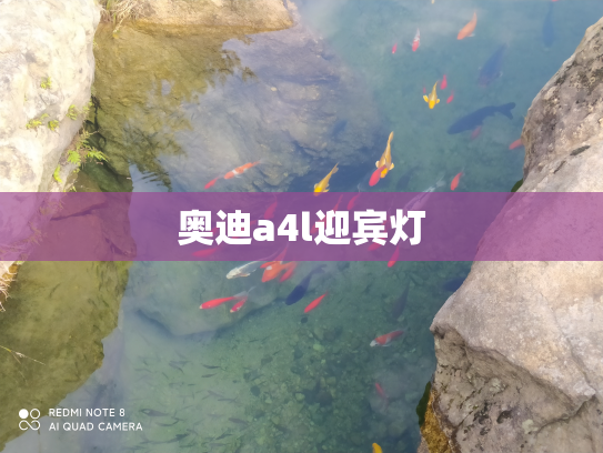 奥迪a4l迎宾灯