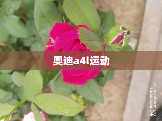 奥迪a4l运动