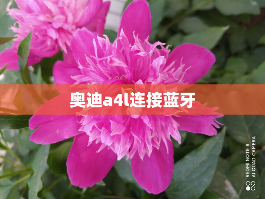 奥迪a4l连接蓝牙