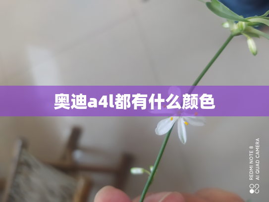 奥迪a4l都有什么颜色