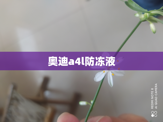 奥迪a4l防冻液