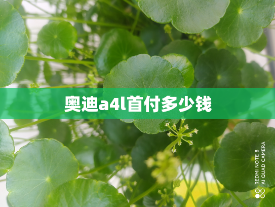 奥迪a4l首付多少钱