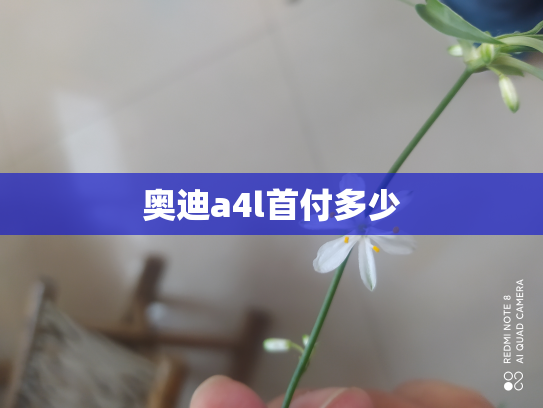 奥迪a4l首付多少