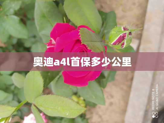 奥迪a4l首保多少公里