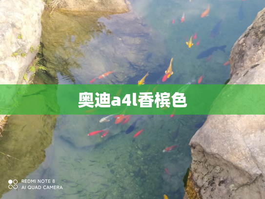 奥迪a4l香槟色