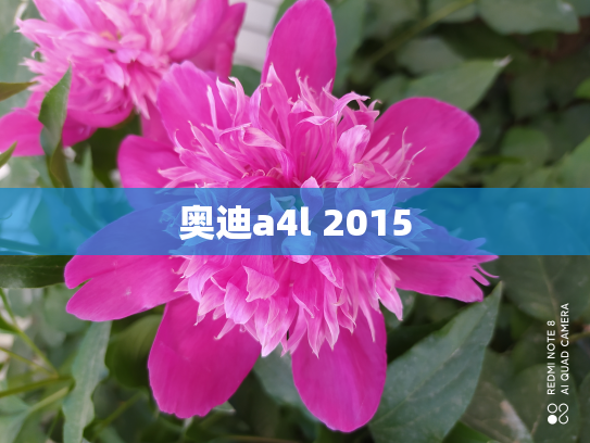 奥迪a4l 2015