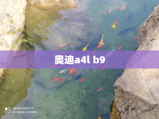 奥迪a4l b9