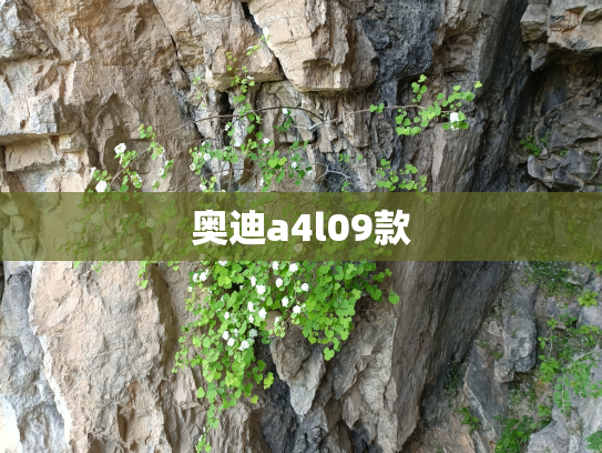 奥迪a4l09款
