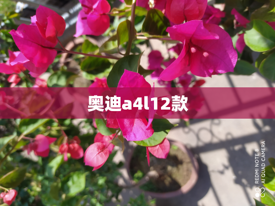 奥迪a4l12款