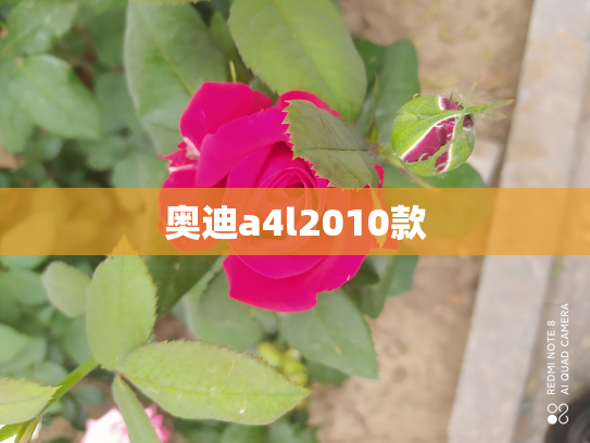 奥迪a4l2010款