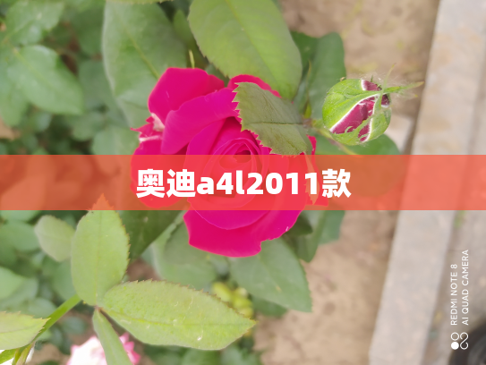 奥迪a4l2011款