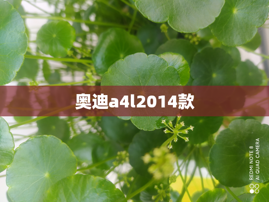 奥迪a4l2014款