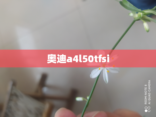 奥迪a4l50tfsi