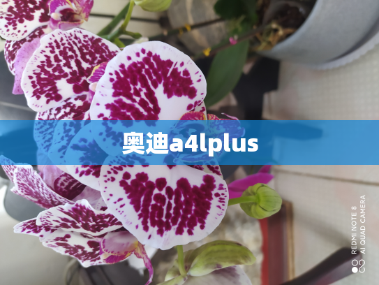 奥迪a4lplus