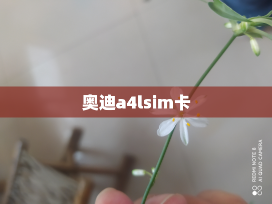 奥迪a4lsim卡