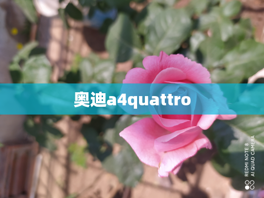 奥迪a4quattro