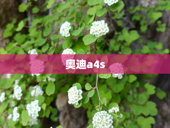 奥迪a4s