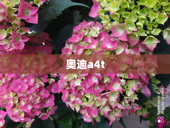 奥迪a4t