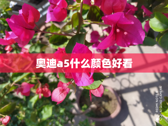 奥迪a5什么颜色好看