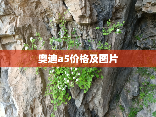 奥迪a5价格及图片
