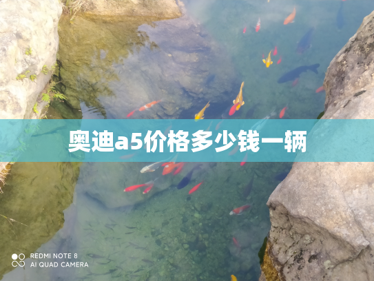 奥迪a5价格多少钱一辆