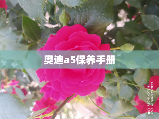 奥迪a5保养手册