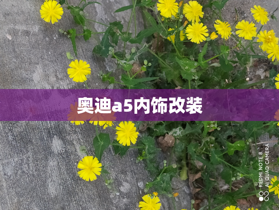 奥迪a5内饰改装