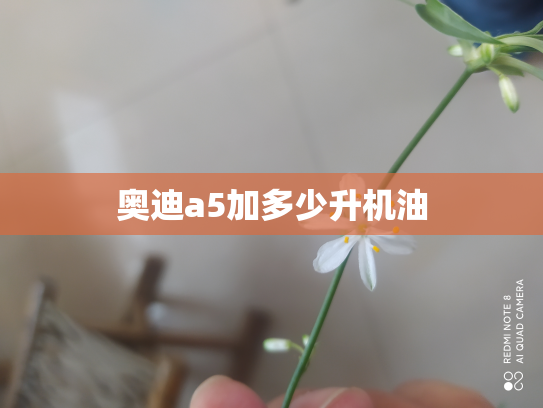 奥迪a5加多少升机油