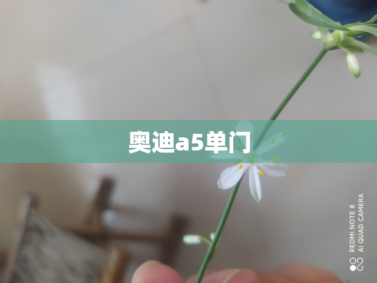 奥迪a5单门