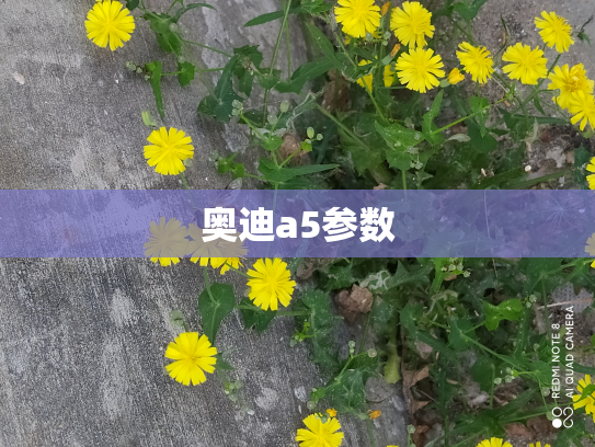 奥迪a5参数