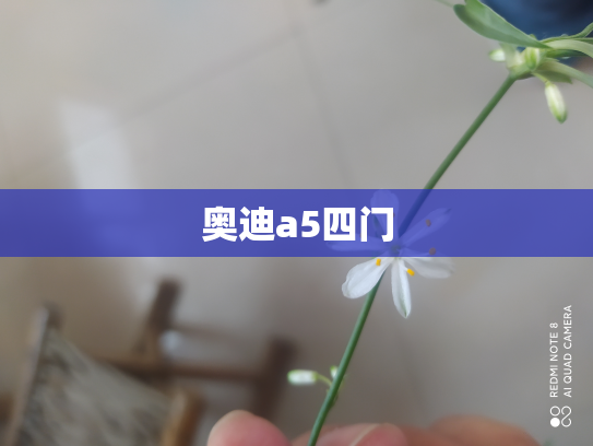 奥迪a5四门