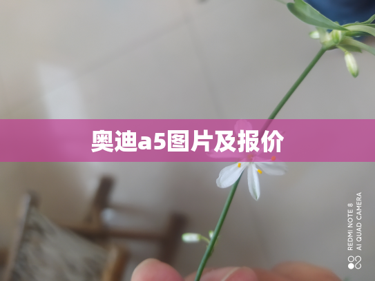 奥迪a5图片及报价