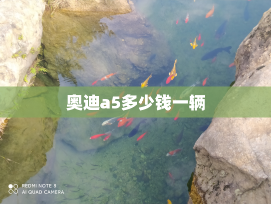 奥迪a5多少钱一辆